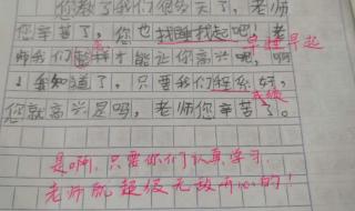 小学生写老师的作文
